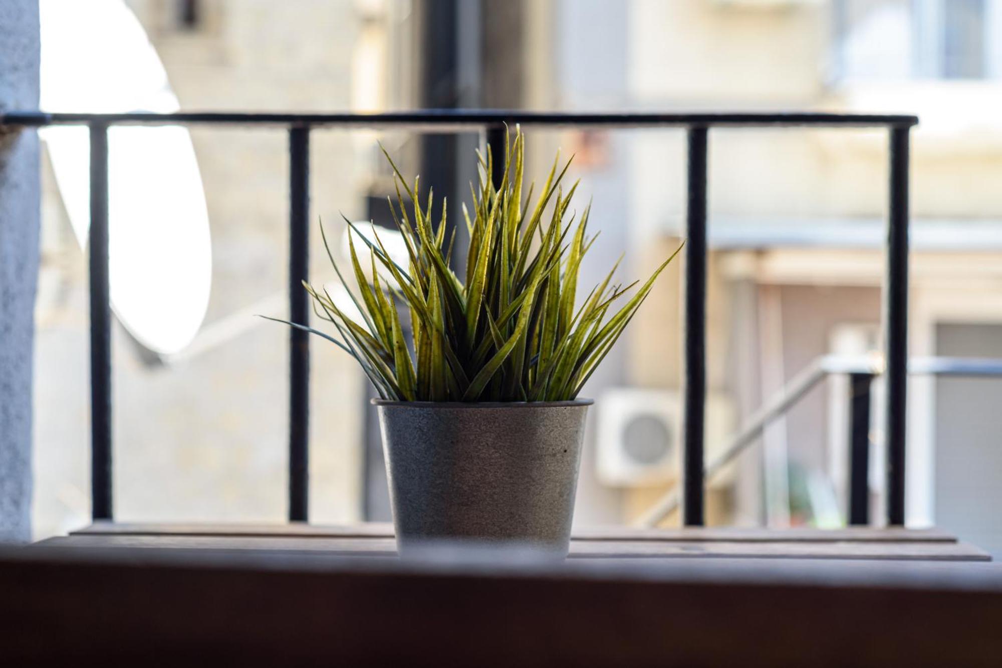 Ferienwohnung La Terrazzina Sul Porto Neapel Exterior foto